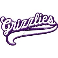 GLT78 PURPLE GLITTER Thumbnail